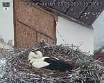 Capi_Dubne_20250525_151003.jpg