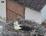 Capi_Dubne_20250525_152503.jpg