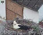 Capi_Dubne_20250525_153003.jpg