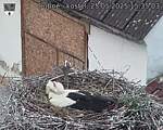 Capi_Dubne_20250525_153503.jpg