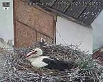 Capi_Dubne_20250525_154002.jpg
