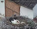 Capi_Dubne_20250525_154503.jpg