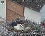 Capi_Dubne_20250525_155503.jpg
