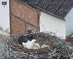 Capi_Dubne_20250525_160002.jpg