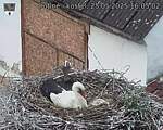 Capi_Dubne_20250525_160502.jpg