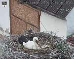 Capi_Dubne_20250525_161003.jpg