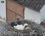 Capi_Dubne_20250525_161503.jpg