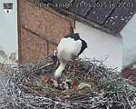Capi_Dubne_20250525_162003.jpg