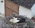 Capi_Dubne_20250525_162502.jpg