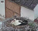 Capi_Dubne_20250525_163003.jpg