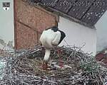 Capi_Dubne_20250525_163503.jpg