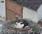 Capi_Dubne_20250525_164502.jpg