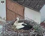 Capi_Dubne_20250525_170002.jpg