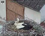 Capi_Dubne_20250525_170503.jpg