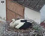 Capi_Dubne_20250525_173503.jpg
