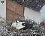 Capi_Dubne_20250525_180002.jpg