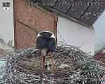 Capi_Dubne_20250525_180502.jpg