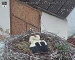 Capi_Dubne_20250525_183003.jpg