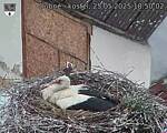 Capi_Dubne_20250525_185002.jpg