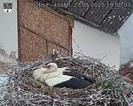 Capi_Dubne_20250525_190003.jpg