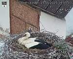 Capi_Dubne_20250525_190503.jpg