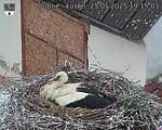 Capi_Dubne_20250525_191503.jpg