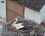 Capi_Dubne_20250525_193003.jpg