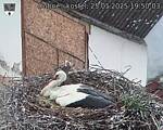 Capi_Dubne_20250525_195003.jpg