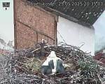 Capi_Dubne_20250525_203503.jpg