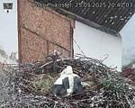 Capi_Dubne_20250525_204003.jpg
