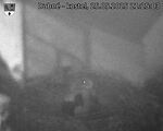 Capi_Dubne_20250525_212503.jpg