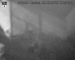 Capi_Dubne_20250525_213502.jpg