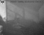 Capi_Dubne_20250525_220002.jpg