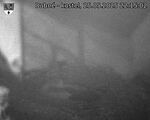 Capi_Dubne_20250525_221502.jpg