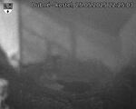 Capi_Dubne_20250525_222503.jpg