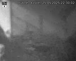 Capi_Dubne_20250525_223002.jpg