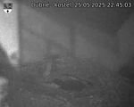 Capi_Dubne_20250525_224503.jpg
