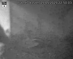 Capi_Dubne_20250525_225003.jpg