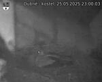 Capi_Dubne_20250525_230003.jpg