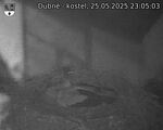 Capi_Dubne_20250525_230503.jpg