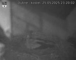 Capi_Dubne_20250525_232002.jpg