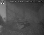 Capi_Dubne_20250525_233502.jpg