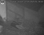 Capi_Dubne_20250527_013002.jpg