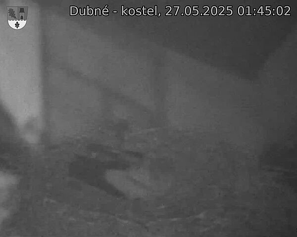 Capi_Dubne_20250527_014502.jpg (1350 x 1080)