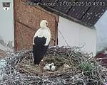 Capi_Dubne_20250527_184503.jpg