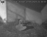Capi_Dubne_20250527_213003.jpg