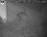 Capi_Dubne_20250528_001502.jpg