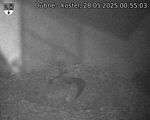 Capi_Dubne_20250528_005503.jpg