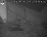 Capi_Dubne_20250528_022003.jpg