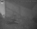 Capi_Dubne_20250528_023503.jpg